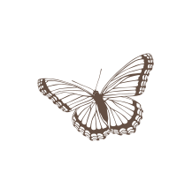 05 Schokolade